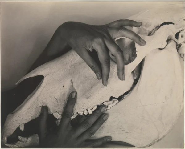 georgia-o-keeffe hands-and-horse-skull female