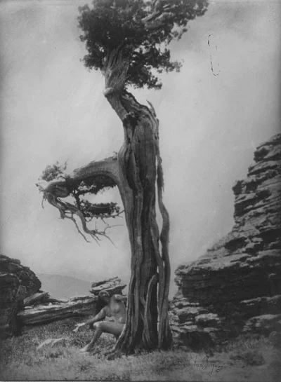 nude-at-the-base-of-a-cedar female