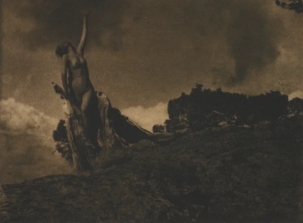 soul-of-the-blasted-pine female