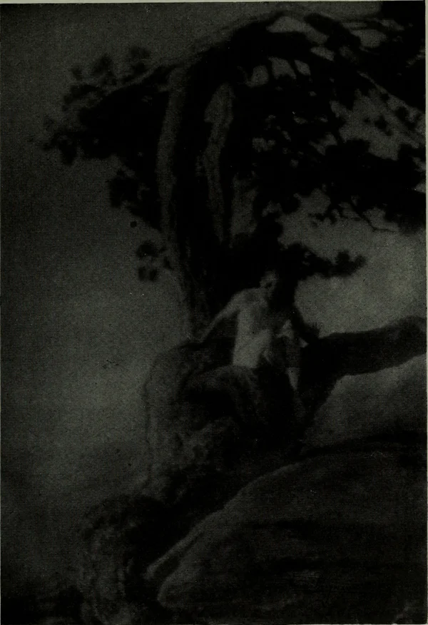 the-ancient-pine female