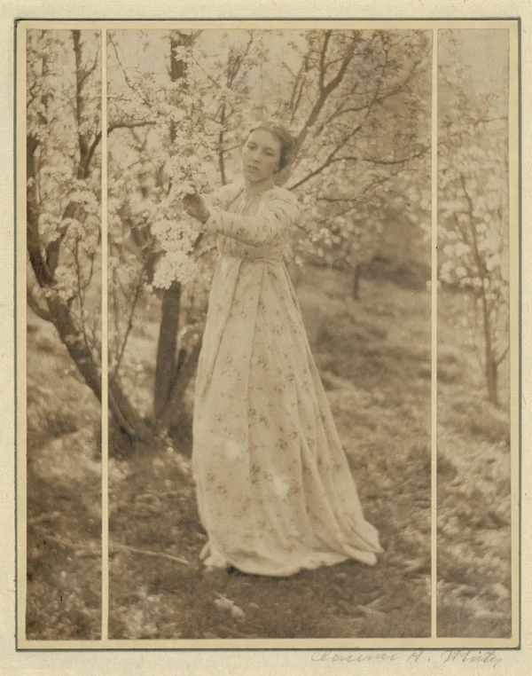 letitia-felix spring-a-triptych-newark-ohio female