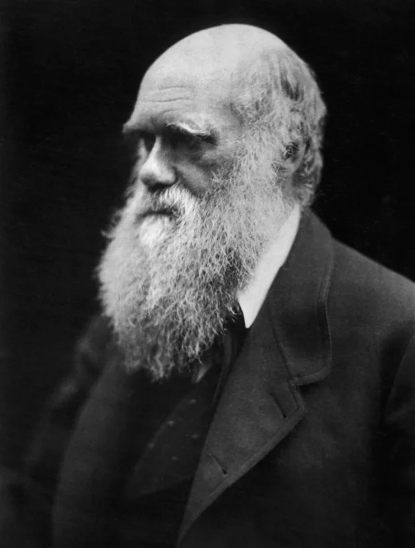 Charles Darwin Portrait 2