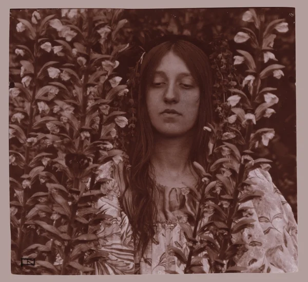 junge-frau-blumen young-woman-among-flowers female