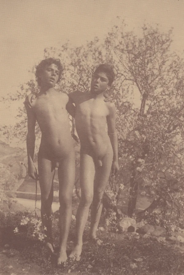 two-nude-boys-blossoming-almond-trees male