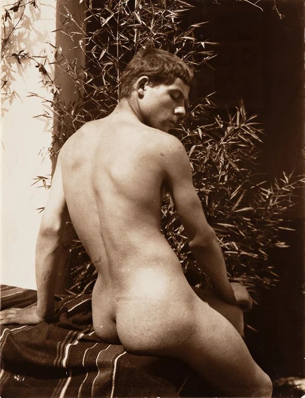 muscular-naked-youth-seen-from-behind male