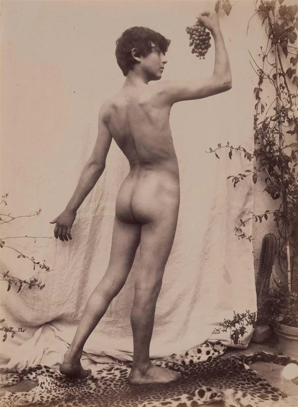 nude-boy-from-behind-holding-grapes-young-bacchus male